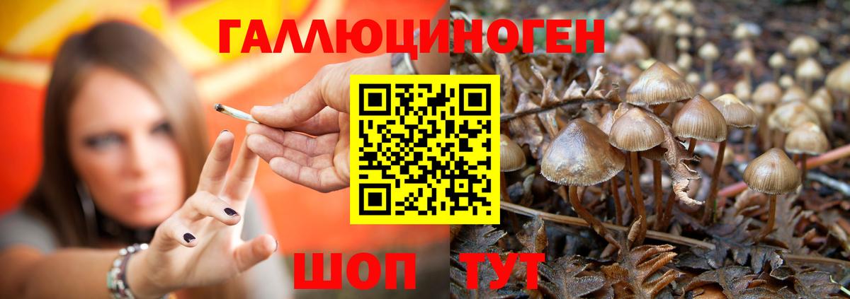Псилоцибиновые грибы мицелий  Галлюциногенные грибы Magic Shrooms  Вход с VPN  Мыски 